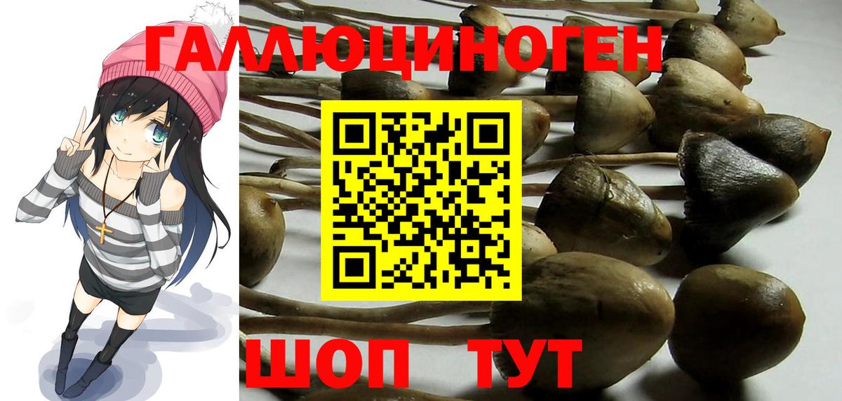 купить  сайты  Галлюциногенные грибы Psilocybe  Вход с VPN  Сухой Лог 